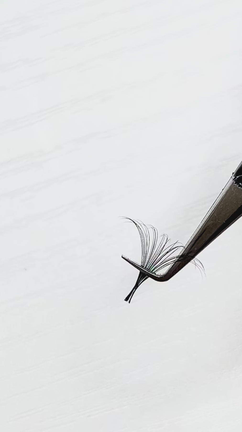  c curl lash extensison